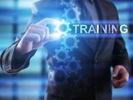 Custom Training