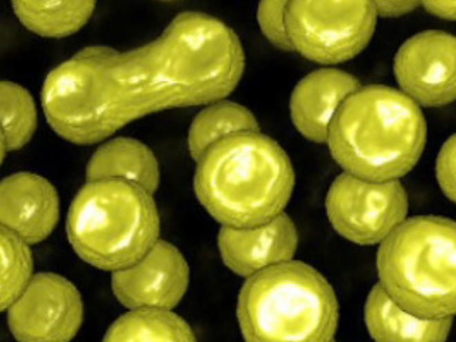 AXI X Series - Image 4