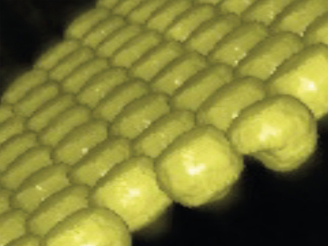 AXI XS Series - Image 7