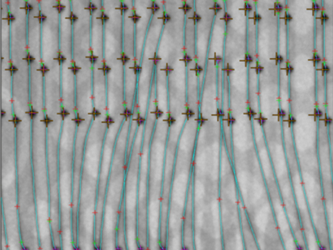 AXI XS Series - Image 9