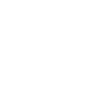 GNW_Application Issues_Icon_White.png