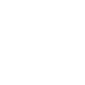 GNW_Contact_Discussion_Icon_White