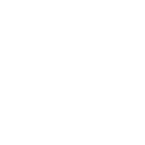 GNW_Rising Usage_Icon_White.png
