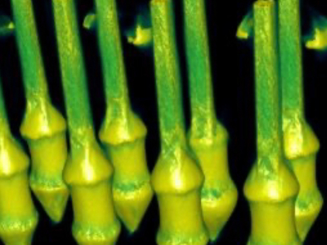 AXI X Series - Image 6