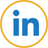 NES - icon - linkedin.jpg