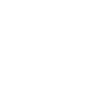 GNW_ServiceParts_Icon_White