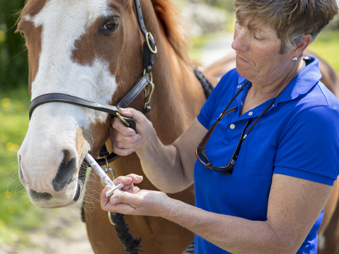 Posi-Dose: Dosing Horses with Dewormers and Other Equine Pharmaceuticals