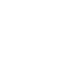 GNW_Parameters Drift_Icon_White.png