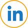 NES - icon - linkedin