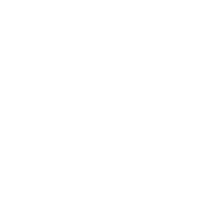 GNW_Networking_Persons_Icon_White