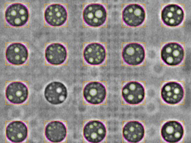 AXI X Series - Image 3