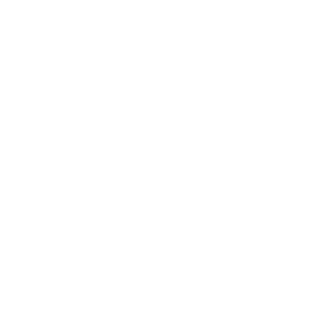 GNW_Arrow_Uprising_Icon_White.png
