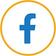 NES - icon - facebook