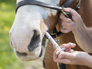 Posi-Dose: Dosing Horses with Dewormers and Other Equine Pharmaceuticals